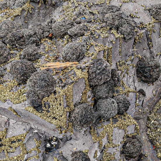 Plagionite-Pfannenberger Einigkeit Mine | Salchendorf | Siegen | Siegerland | North Rhine-Westphalia | Germany